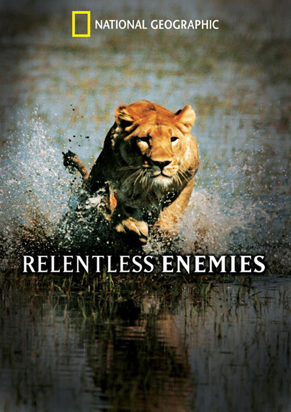 Download Relentless Enemies Movie | Relentless Enemies Dvd