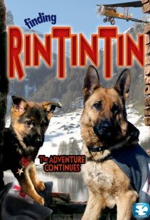 Download Finding Rin Tin Tin Movie | Finding Rin Tin Tin
