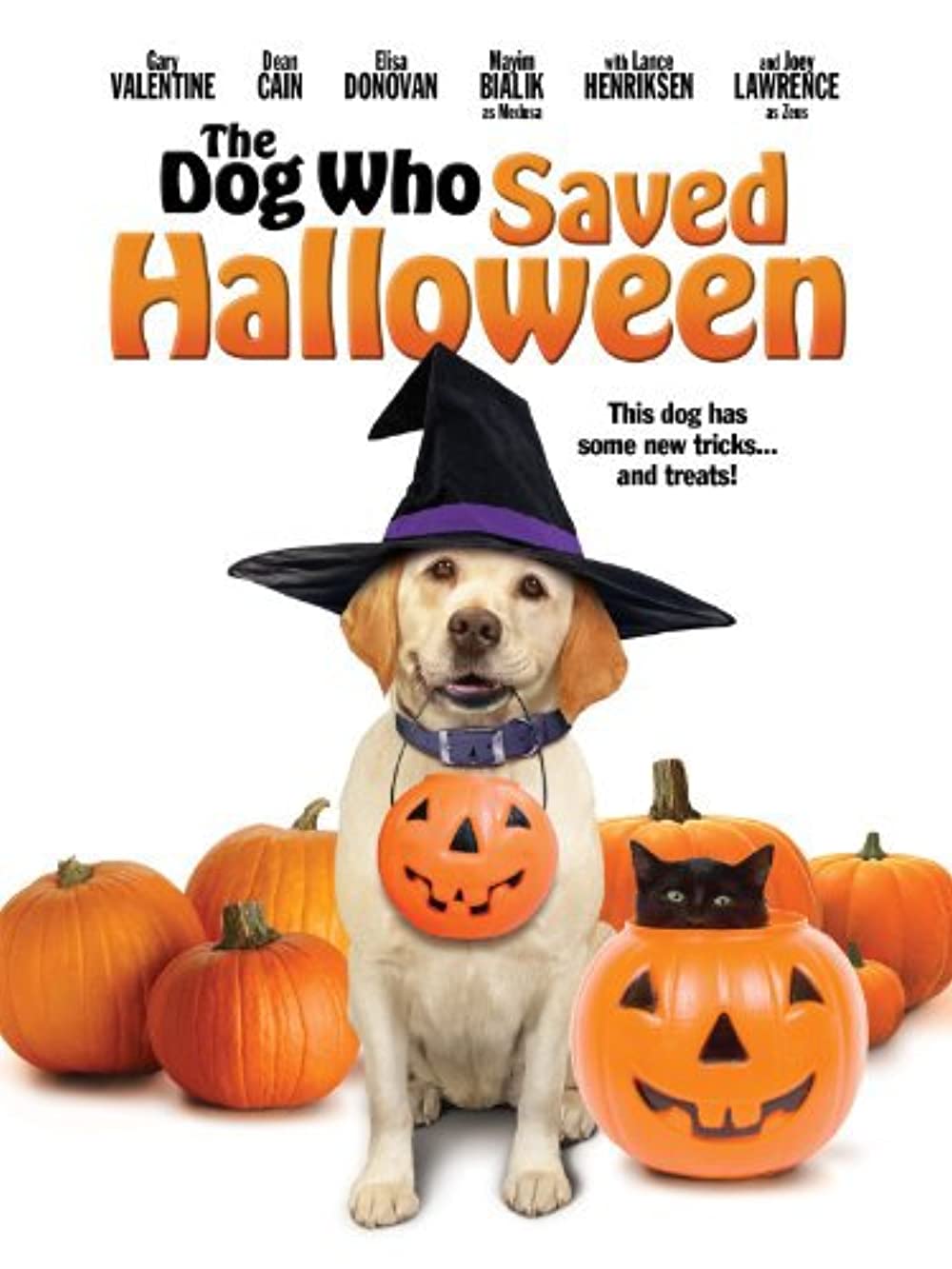 Download The Dog Who Saved Halloween Movie | The Dog Who Saved Halloween