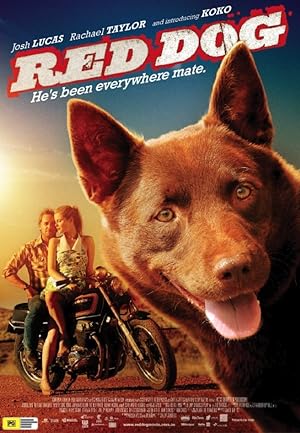 Red Dog Movie Download - Watch Red Dog
