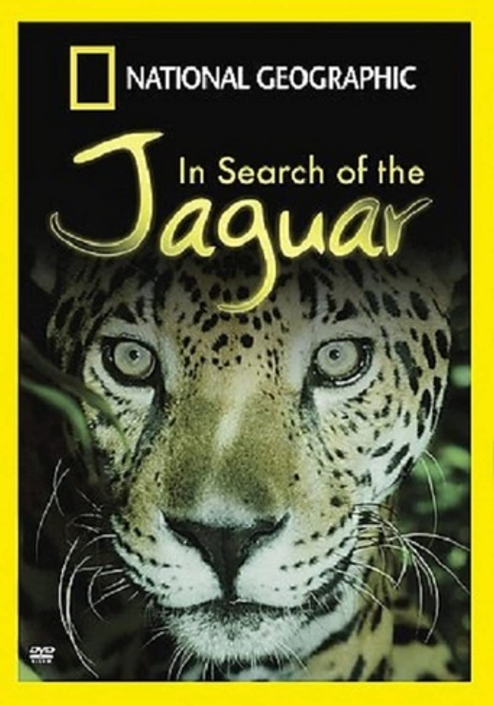 Download In Search of the Jaguar Movie | In Search Of The Jaguar Dvd