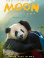 Moon le panda 2025