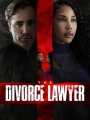 The Divorce Lawyer 2025